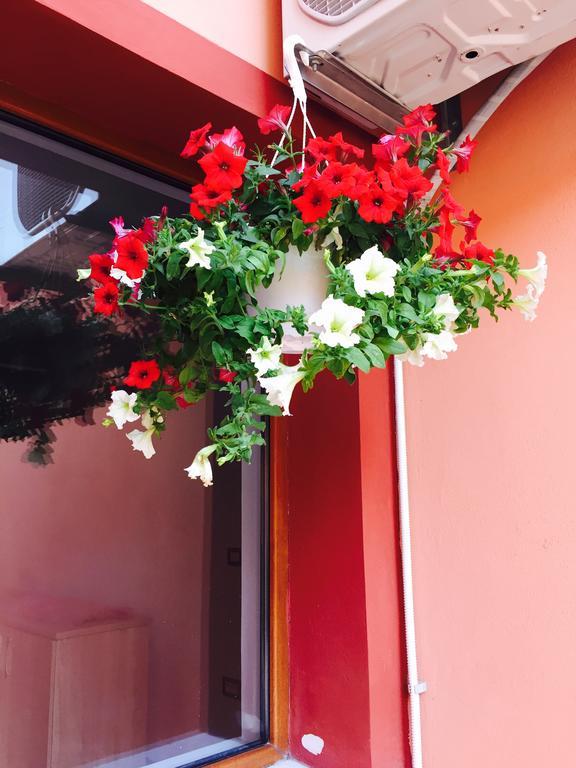 Orange House Constanta Daire Dış mekan fotoğraf